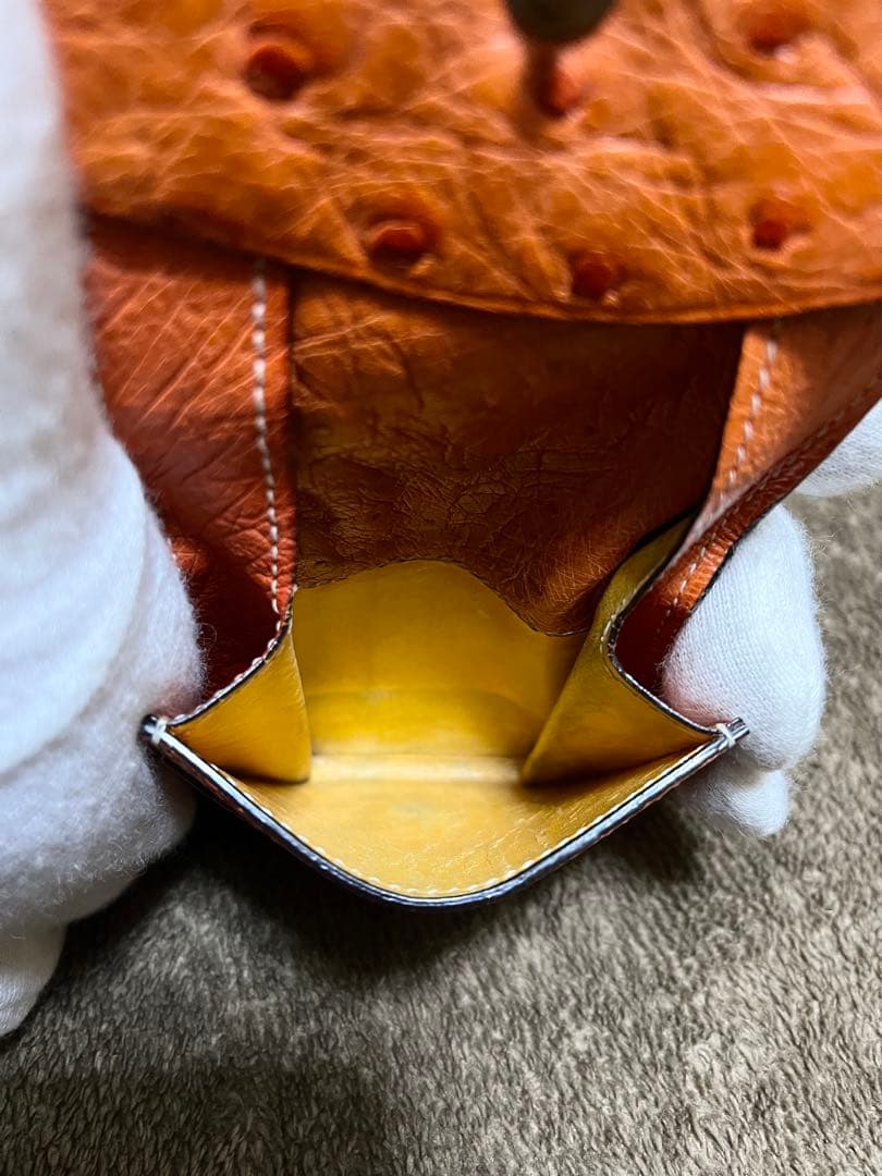 ガンゾ GANZO ケース 小銭入れ オーストリッチ エキゾチックレザー