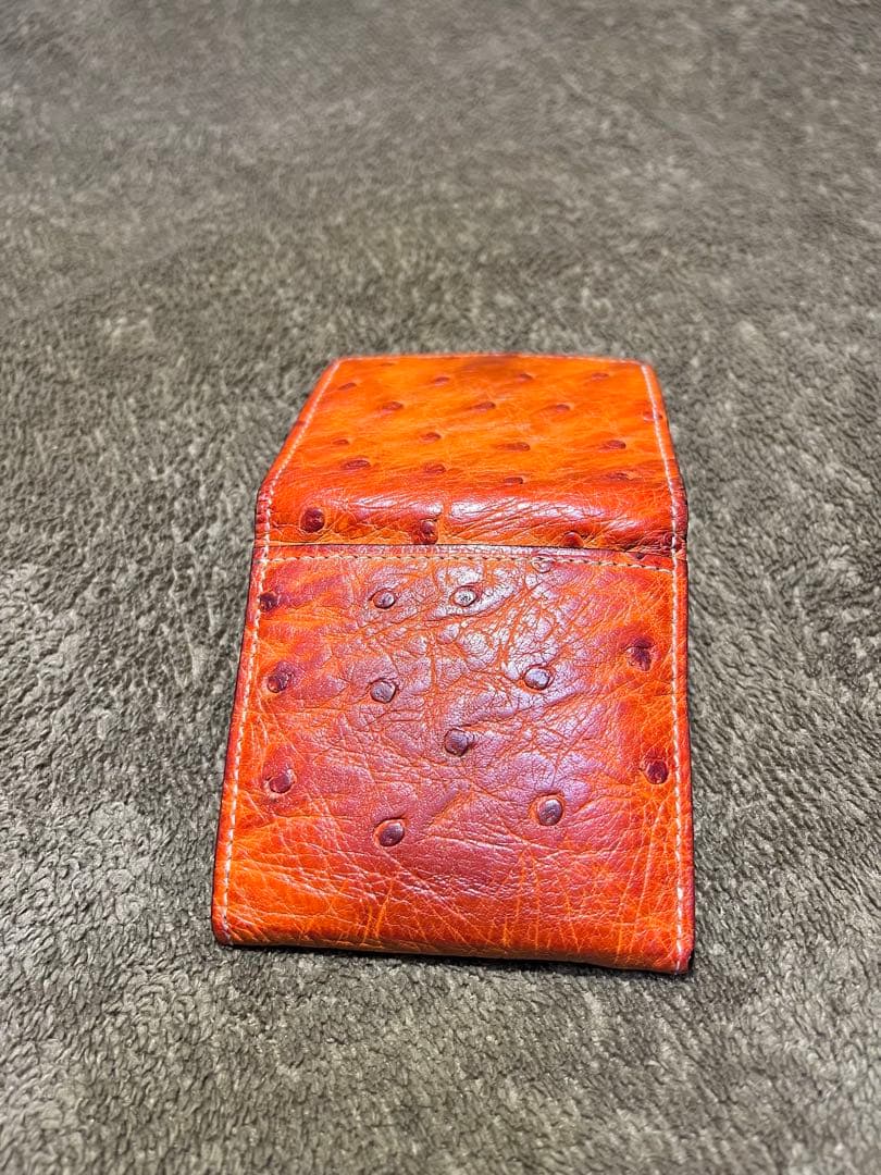 ガンゾ GANZO ケース 小銭入れ オーストリッチ エキゾチックレザー