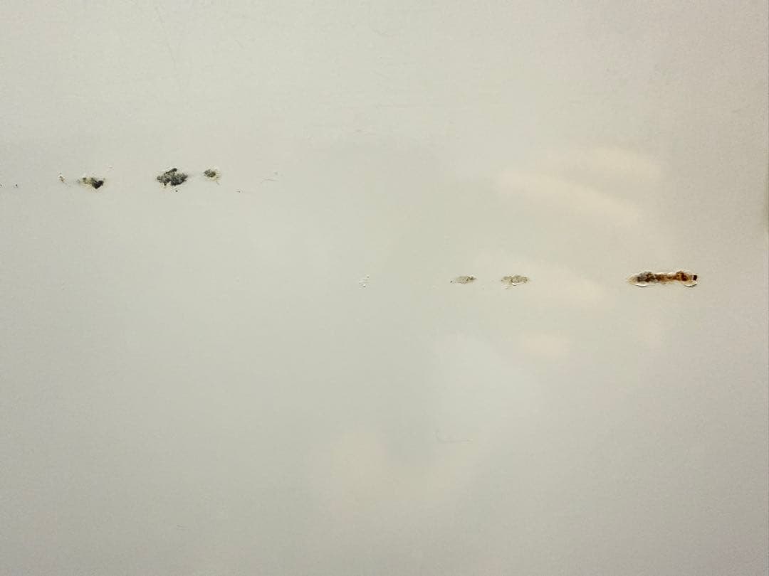 日立 ビートウォッシュ 縦型洗濯機 BW-DX120B 12㎏/6㎏