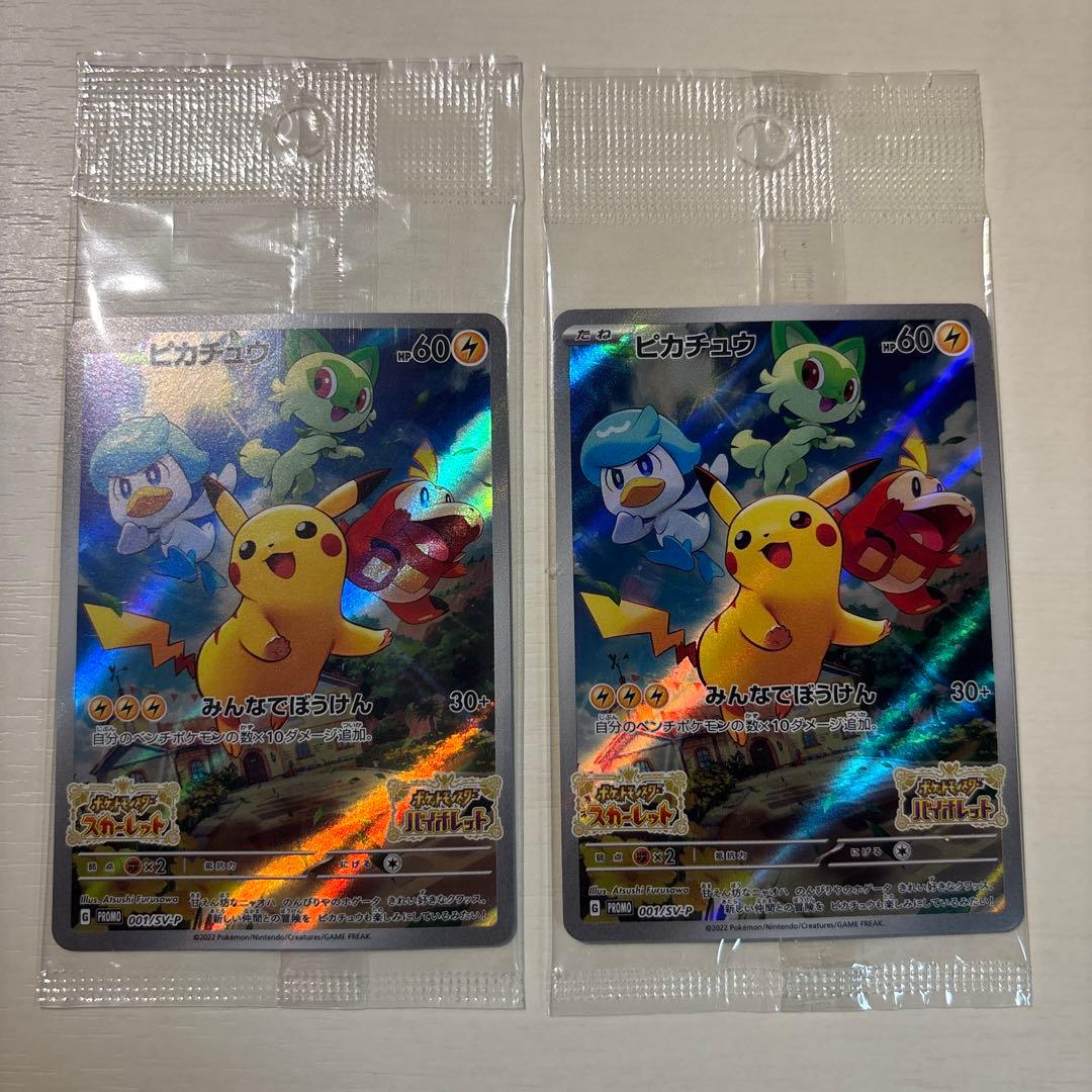 みんなでぼうけん　ピカチュウ　2枚セット
