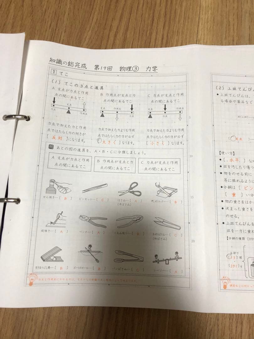 サピックス　知識の総完成