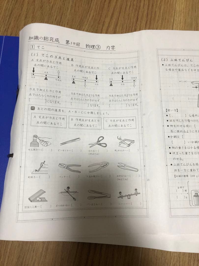 サピックス　知識の総完成