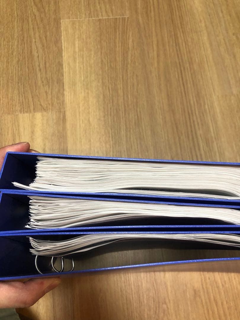 サピックス　知識の総完成