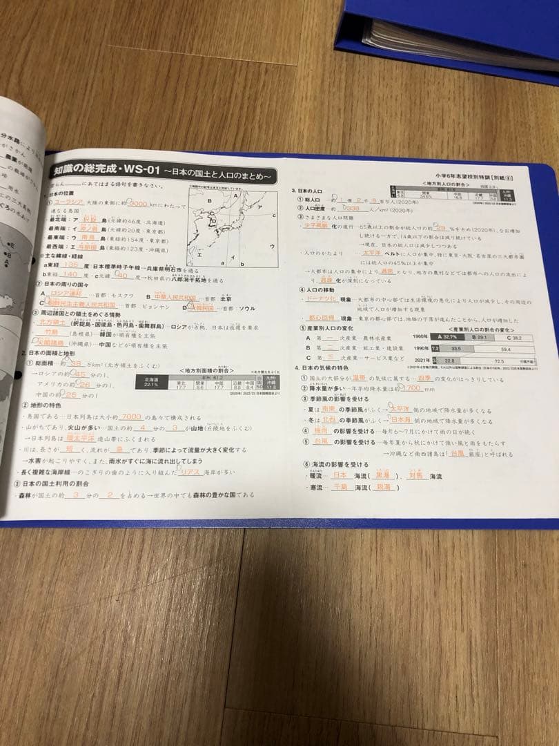 サピックス　知識の総完成