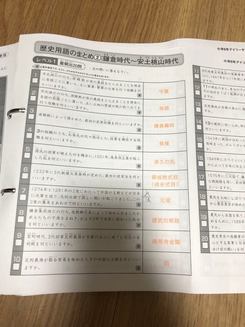 サピックス　知識の総完成