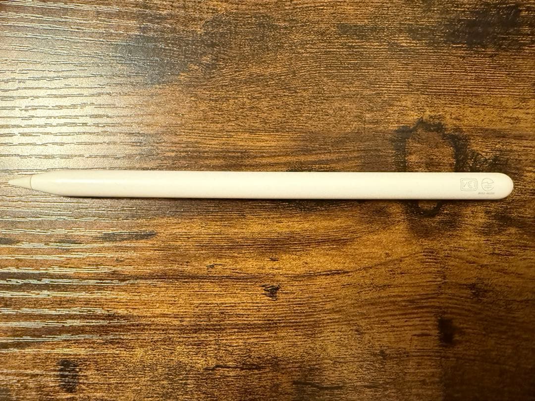 iPad Pro (第5世代) 256GB wi-fi + Cellular