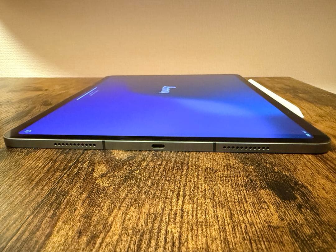 iPad Pro (第5世代) 256GB wi-fi + Cellular