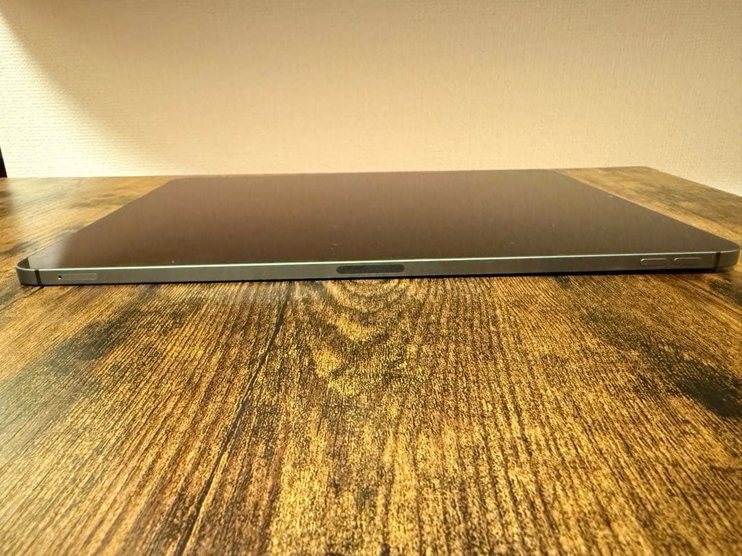 iPad Pro (第5世代) 256GB wi-fi + Cellular