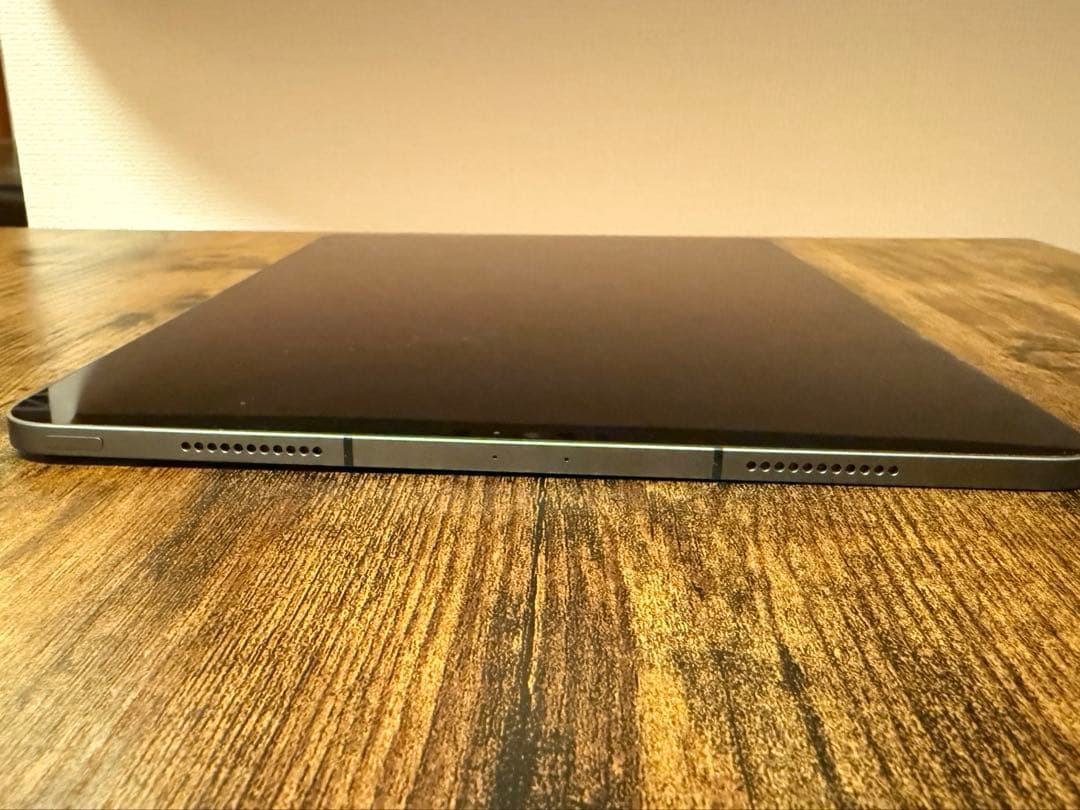 iPad Pro (第5世代) 256GB wi-fi + Cellular