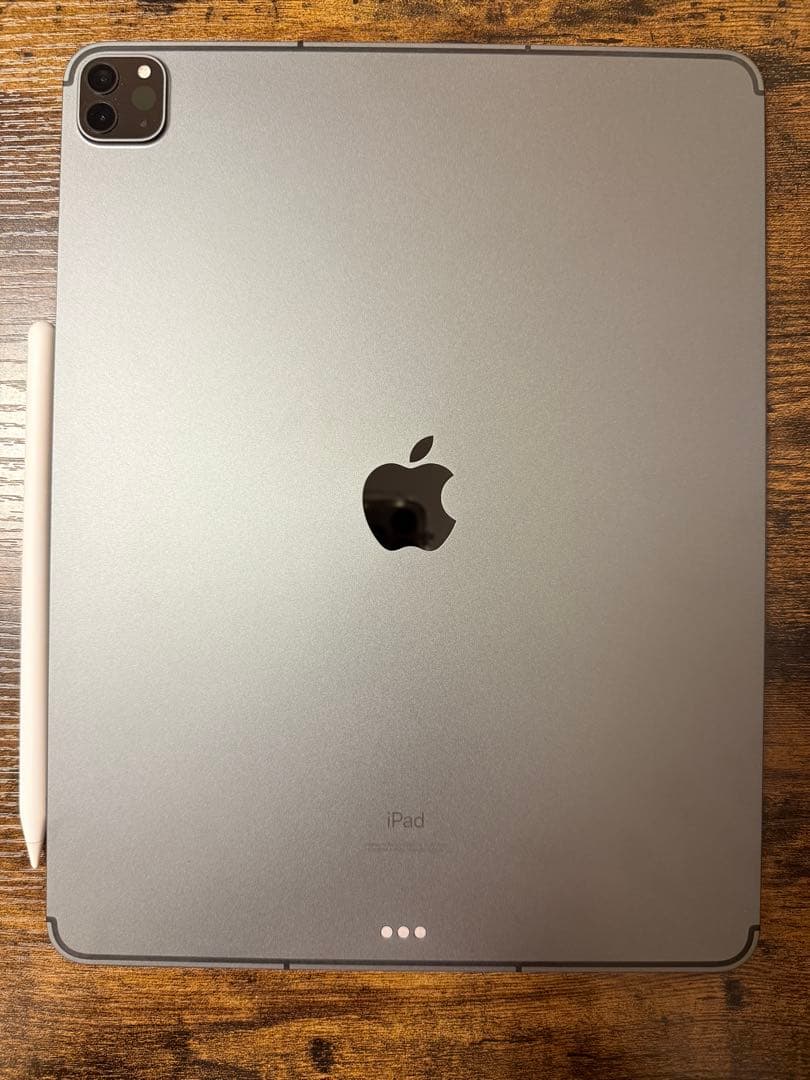 iPad Pro (第5世代) 256GB wi-fi + Cellular