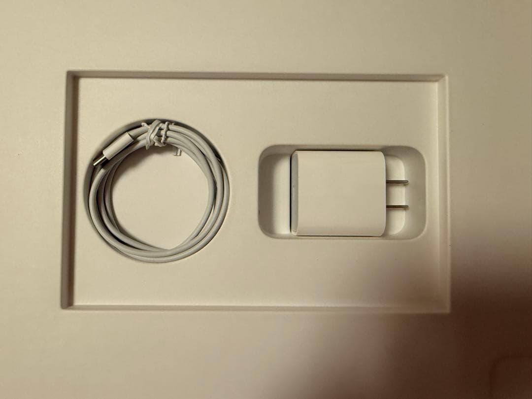 iPad Pro (第5世代) 256GB wi-fi + Cellular