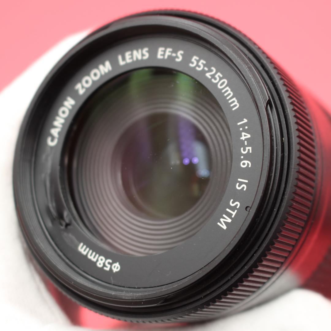 ❤️Canon 55-250mm IS STM❤️動画撮影も滑らか❤️