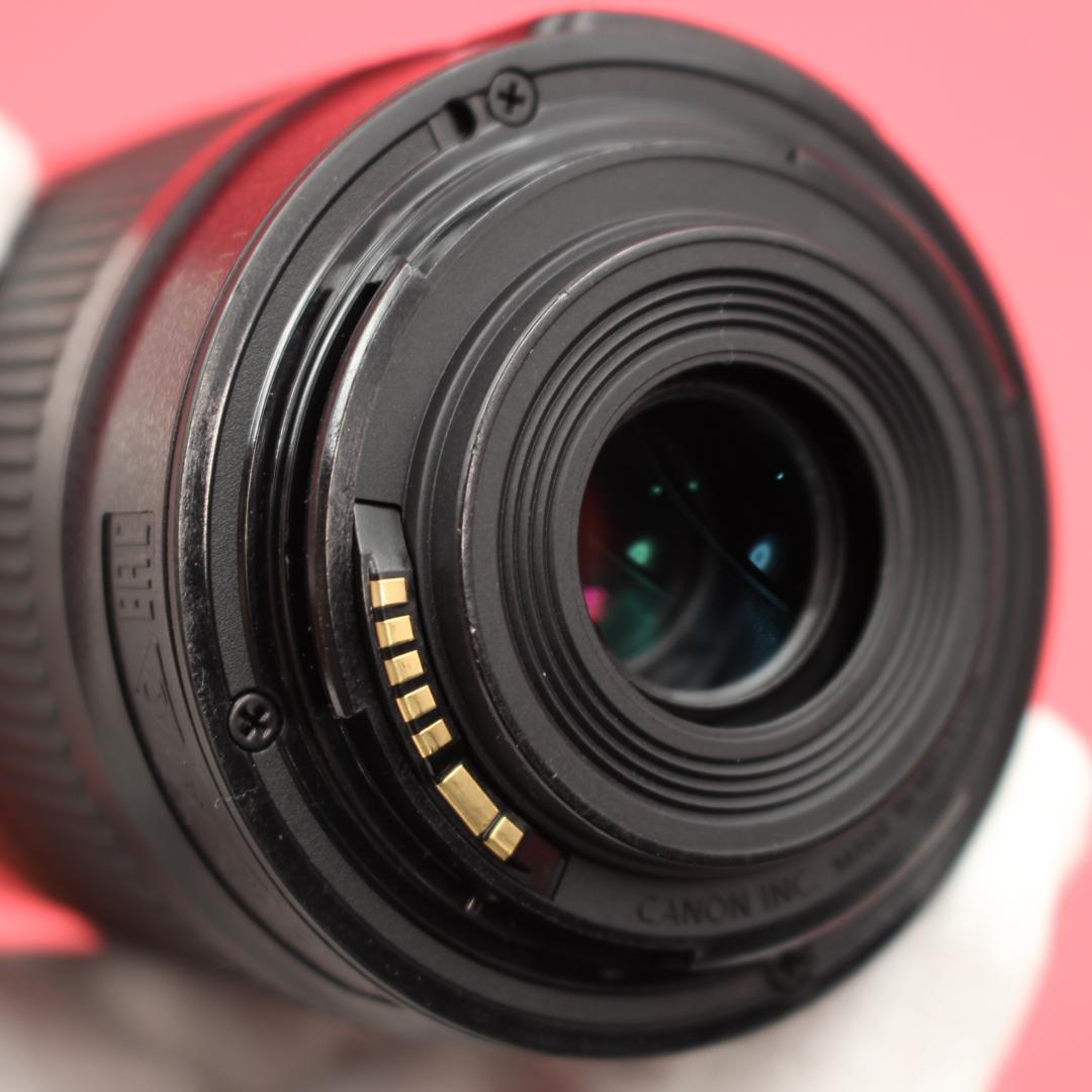 ❤️Canon 55-250mm IS STM❤️動画撮影も滑らか❤️