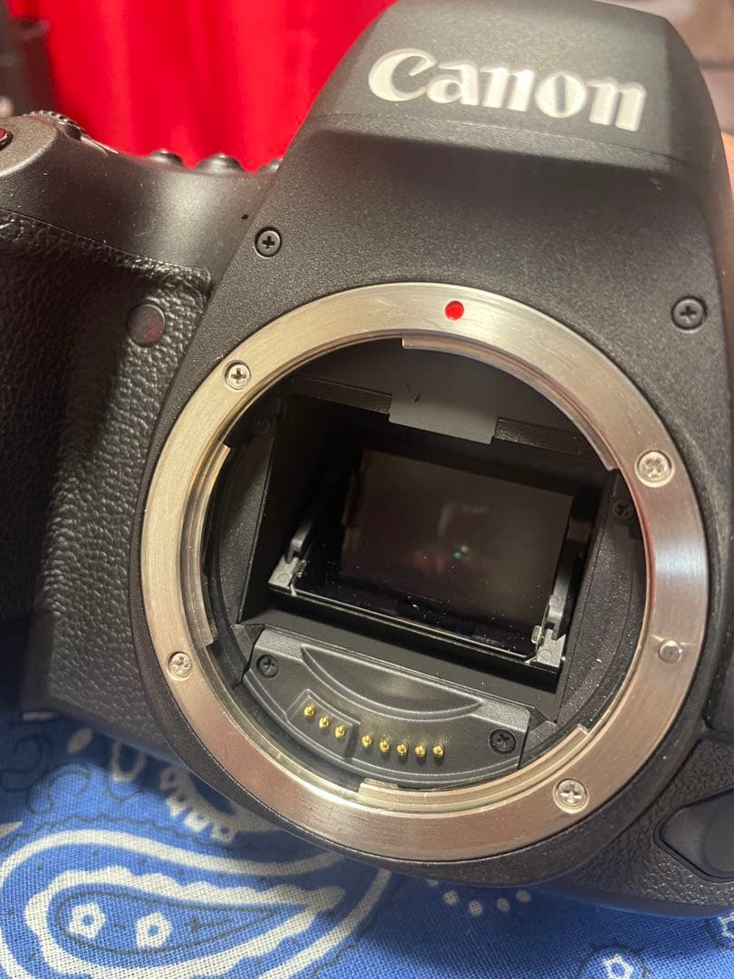 Canon EOS 6D Mark II デジタル一眼レフ キャノン カメラ