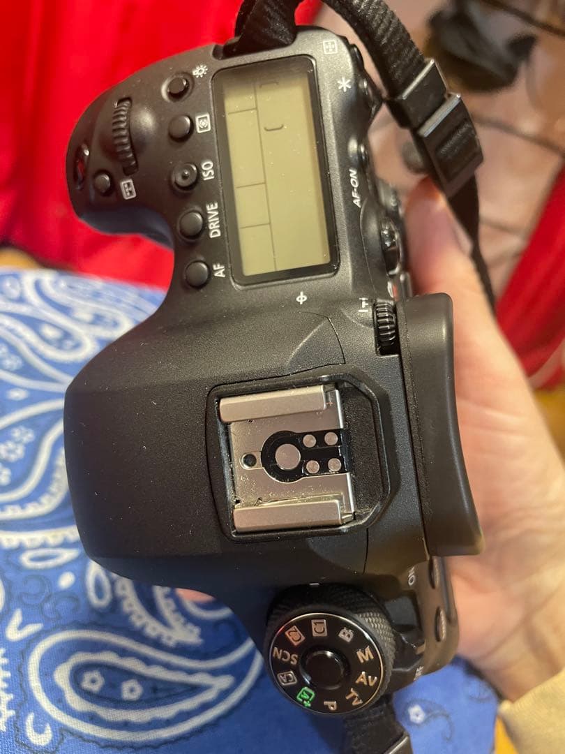 Canon EOS 6D Mark II デジタル一眼レフ キャノン カメラ