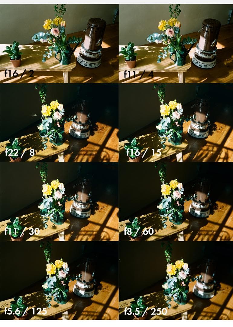 Rollei35【整備済完動品】