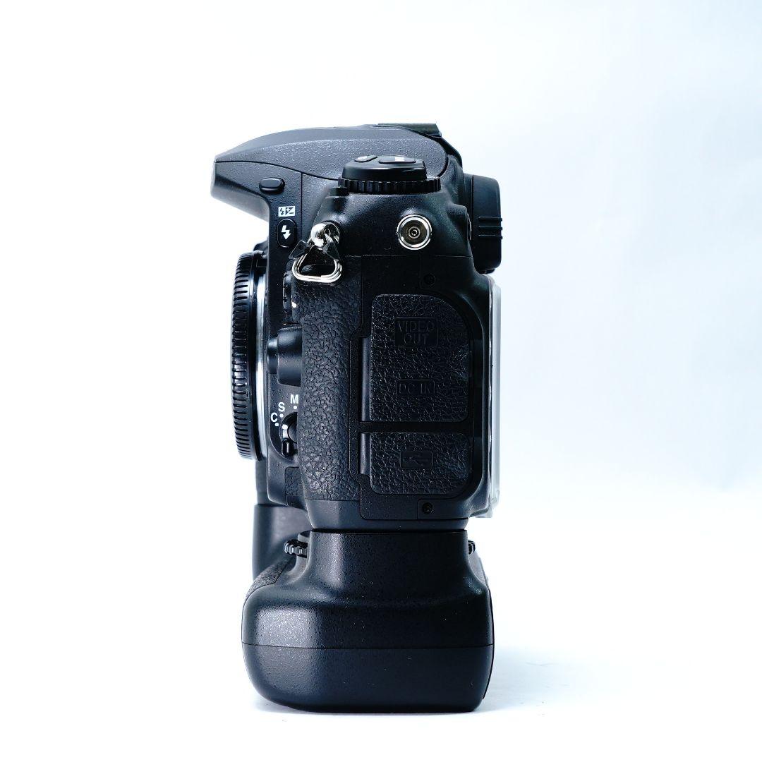 ✨美品✨ FUJIFILM FinePix S5 Pro