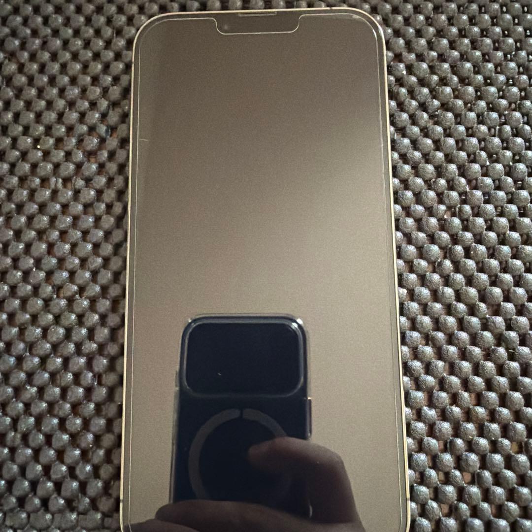 【極美品状態最安値 年末まで】 iPhone 13 ProMax グラファイト