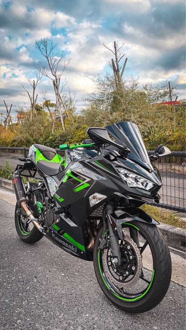 TANAX ナポレオン　カウリングミラー　リブラ3 左右セット