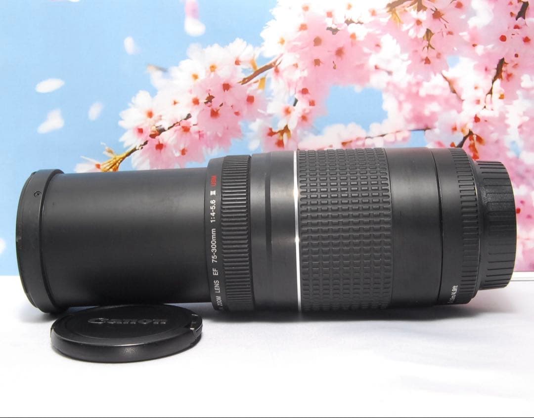 Canon ZOOM LENS EF 75-300mm f4-5.6 Ⅲ USM