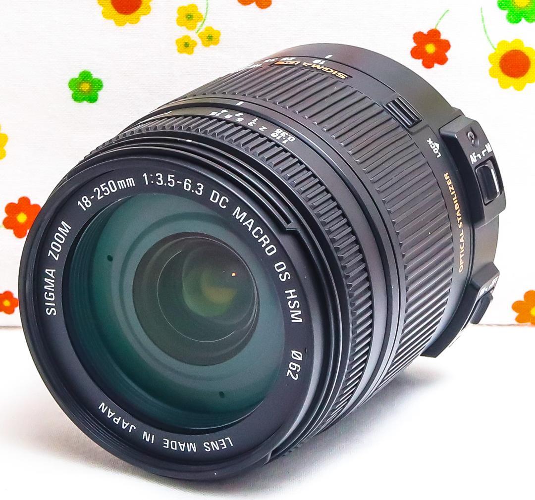 美品 シグマ 18-250mm DC OS HSM ☆ニコン用☆高倍率レンズ