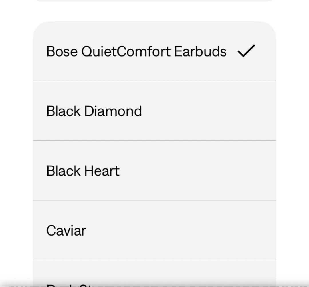 【充電ケース2個付】BOSE Quiet Comfort Earbuds ￼