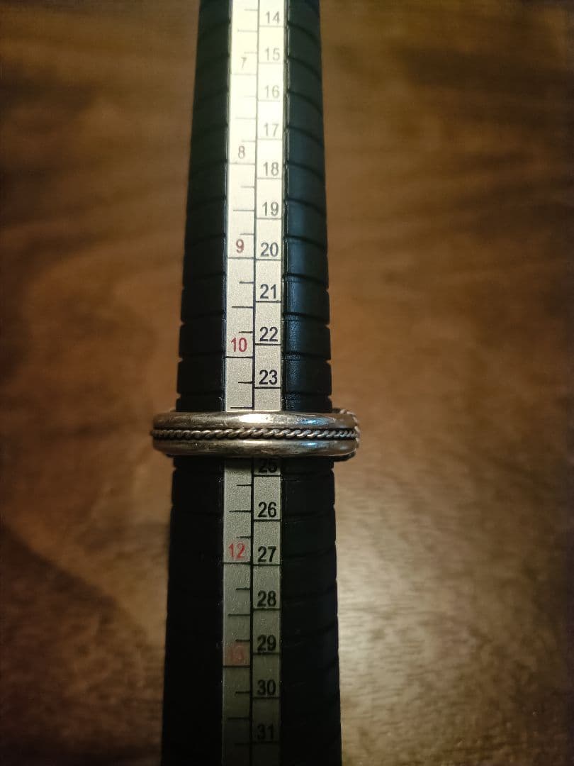 SteveArviso HorseWhisperer リング 24号