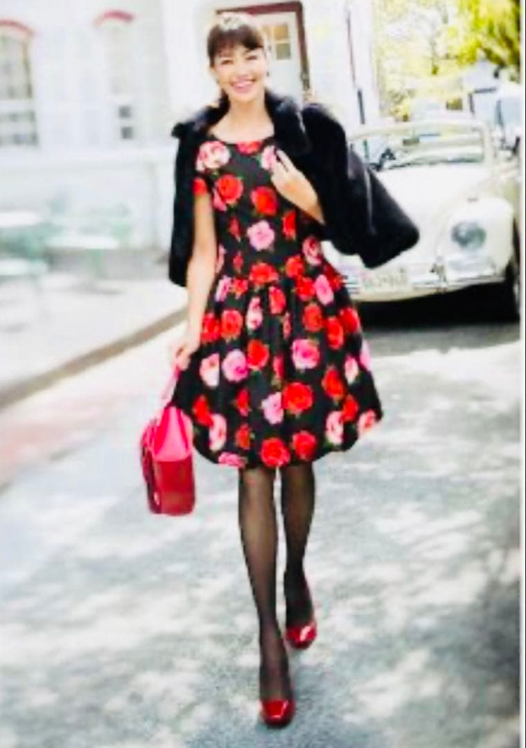 エムズグレイシー 秋冬カタログ バルーンワンピース 薔薇 ジャガード 花柄 黒