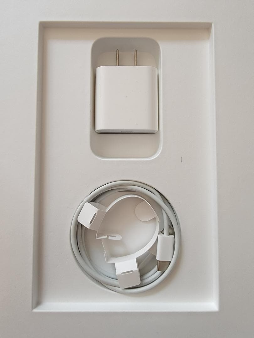 第4世代 iPad Pro 12.9インチ 512GB MXAV2J/A