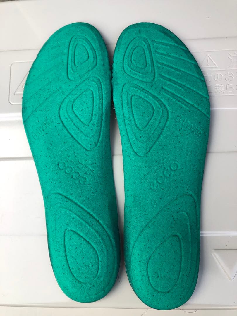 326番超美品ECCO BIOM ゴルフシューズ 38 24.0cmスパイクレス