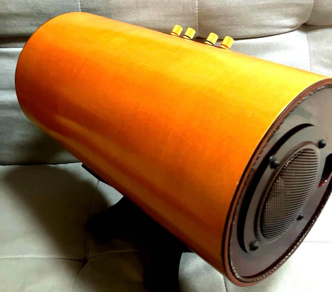 エムズシステム スピーカー 波動スピーカー MS1001-M