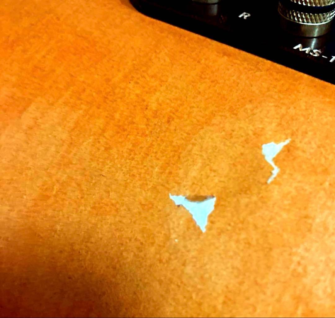 エムズシステム スピーカー 波動スピーカー MS1001-M