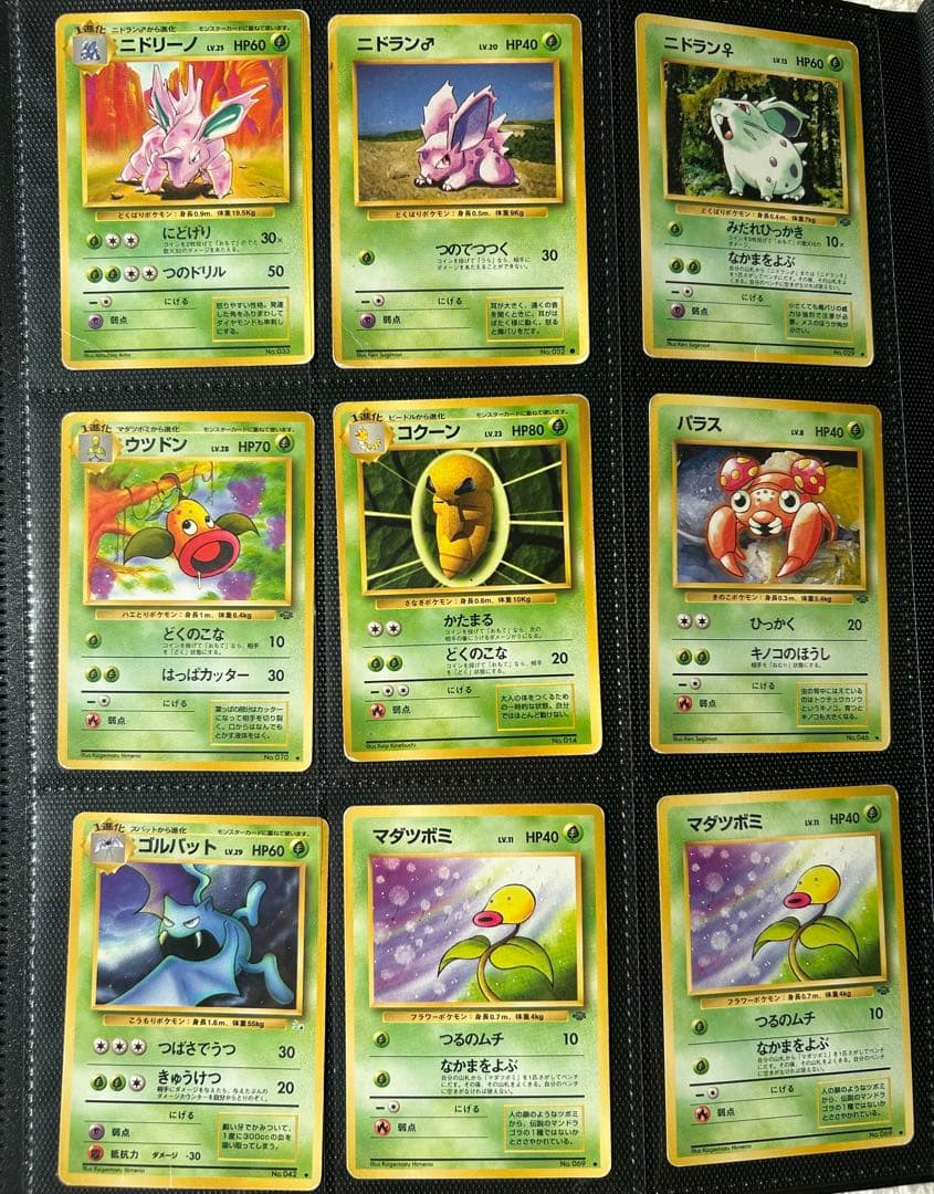 旧裏ポケモンカード 234枚‼︎ 大量まとめ売り　リザードン2枚入り