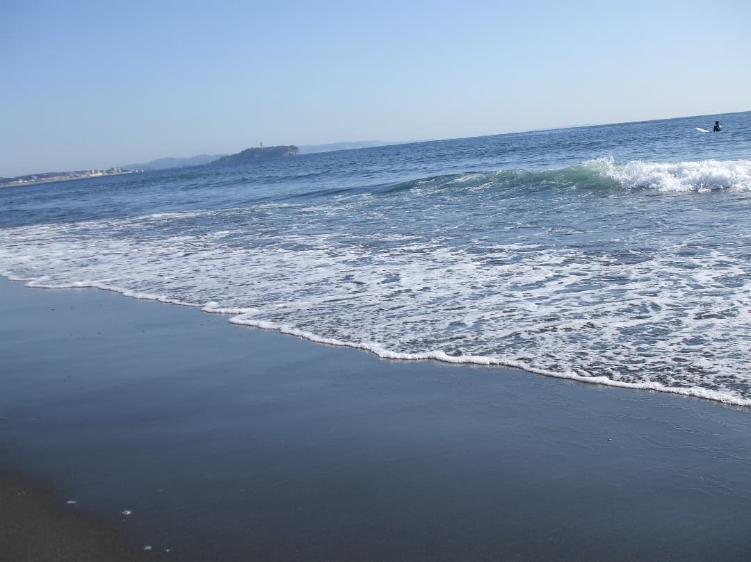 実写美⭕️外観綺麗【動作確認済み】FUJIFILM FinePix A900