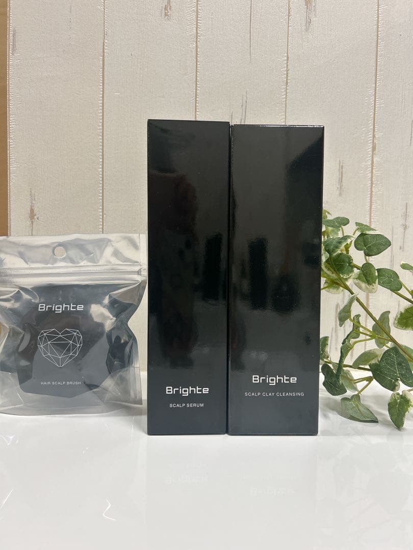 戸*紀様 【美品】Brighte エレキブラシプラス 4点セット