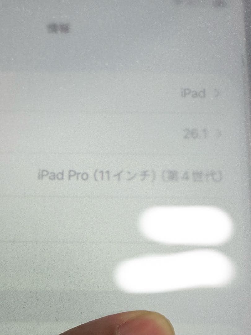 新品未使用Apple iPad Pro 11インチ 128GB 第4世代