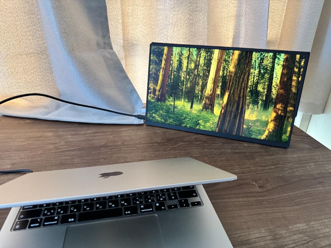 モバイルモニター モバイルディスプレイcocopar 15.6インチ