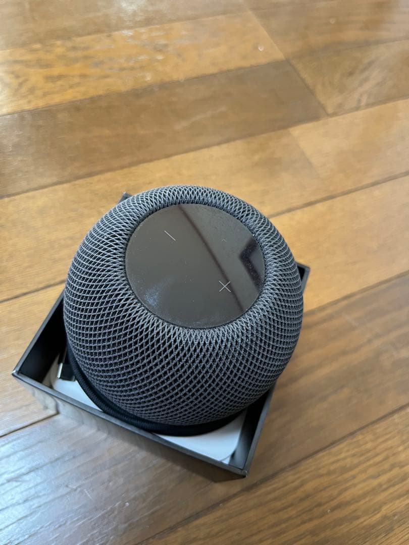 Apple Pod mini スペースグレー