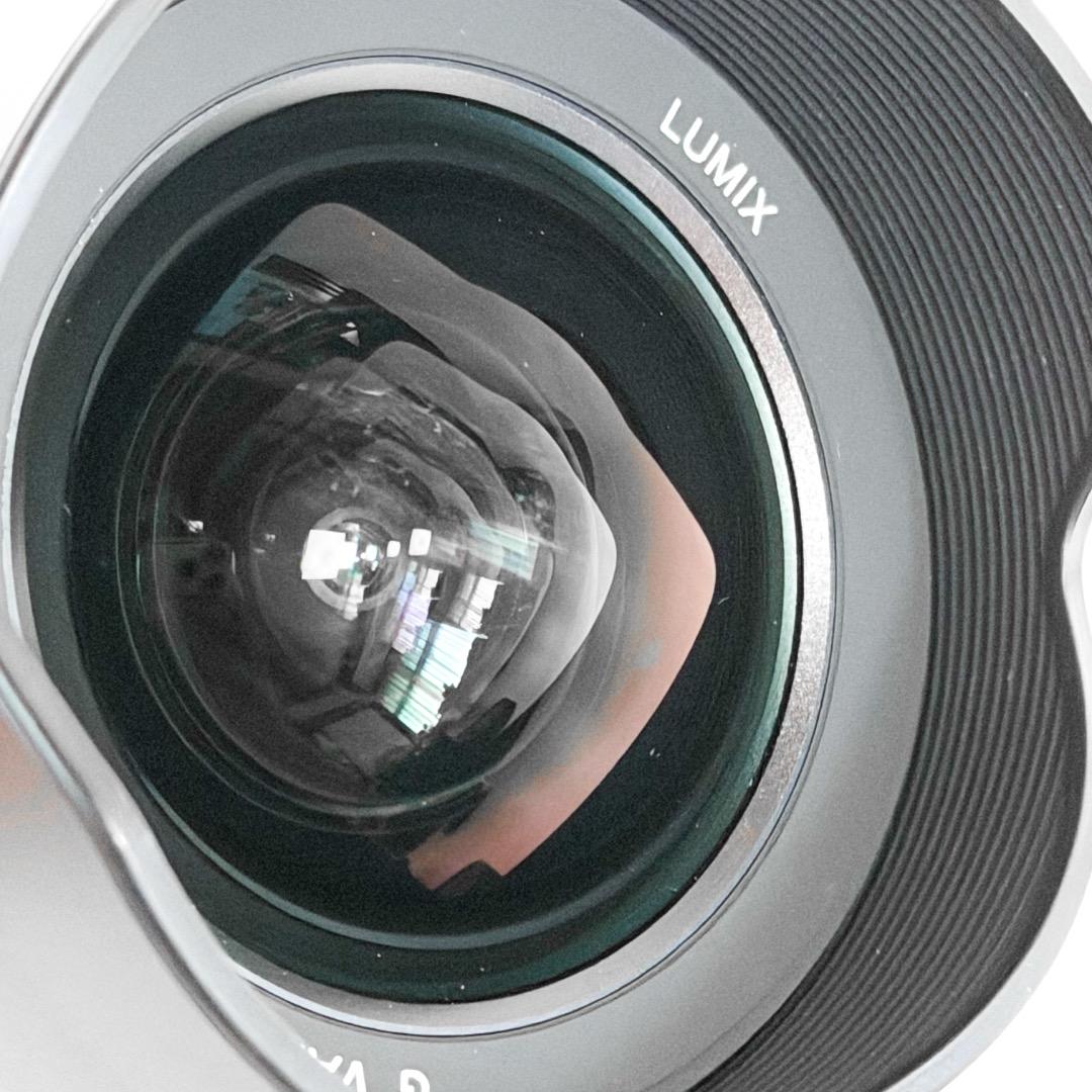 レンズ(ズーム) Panasonic LUMIX G VARIO 7-14mm f/4 ASPH