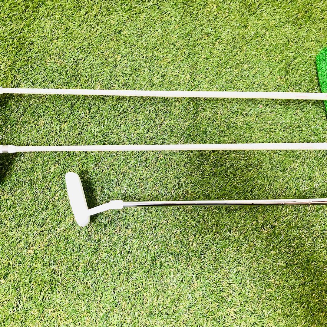 ワールドイーグル レディース ゴルフセット 女性用 可愛い かわいい 初心者用