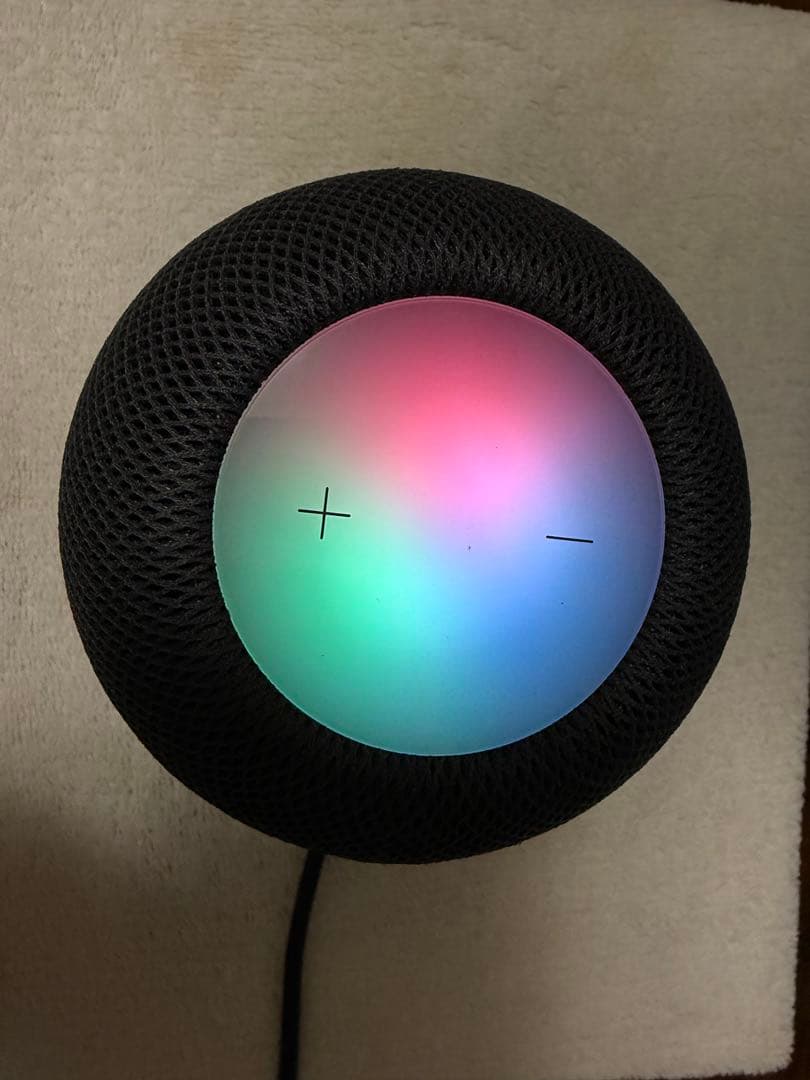 Apple Pod mini 黒　ブラック　美(A2374 )