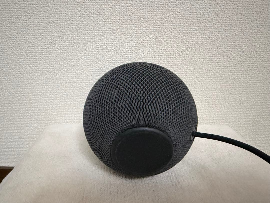 Apple Pod mini 黒　ブラック　美(A2374 )