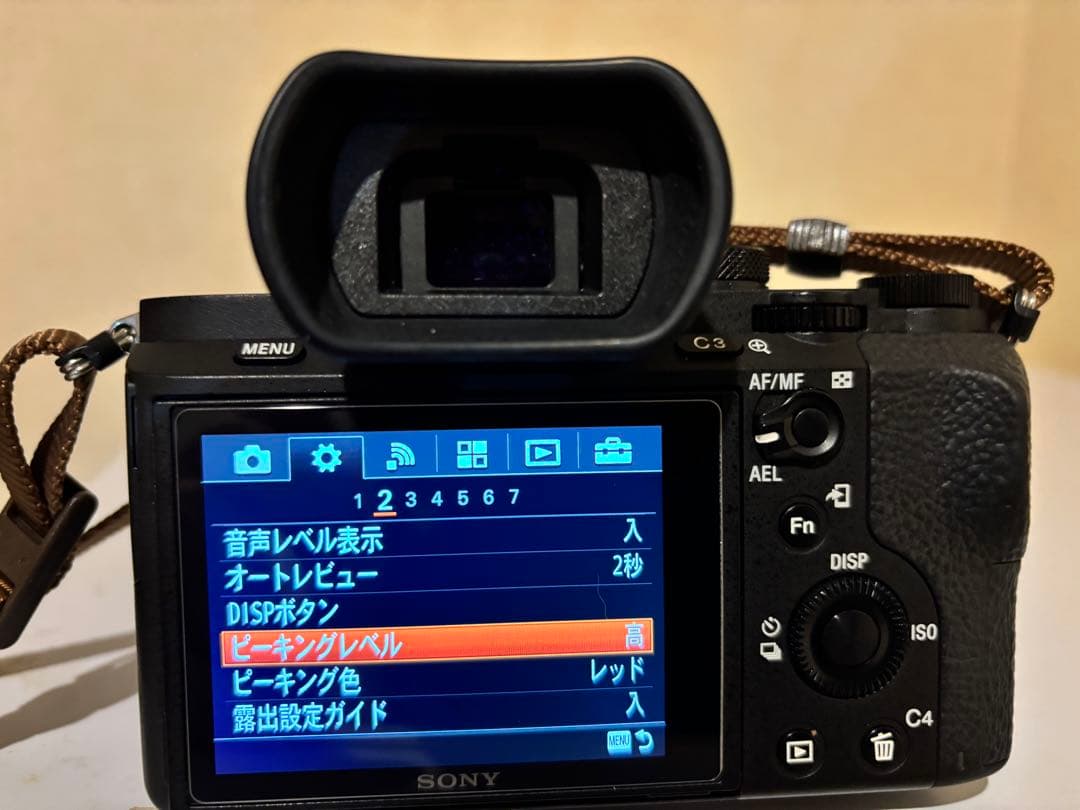 Sony α7II ミラーレスカメラ バッテリー4個付き