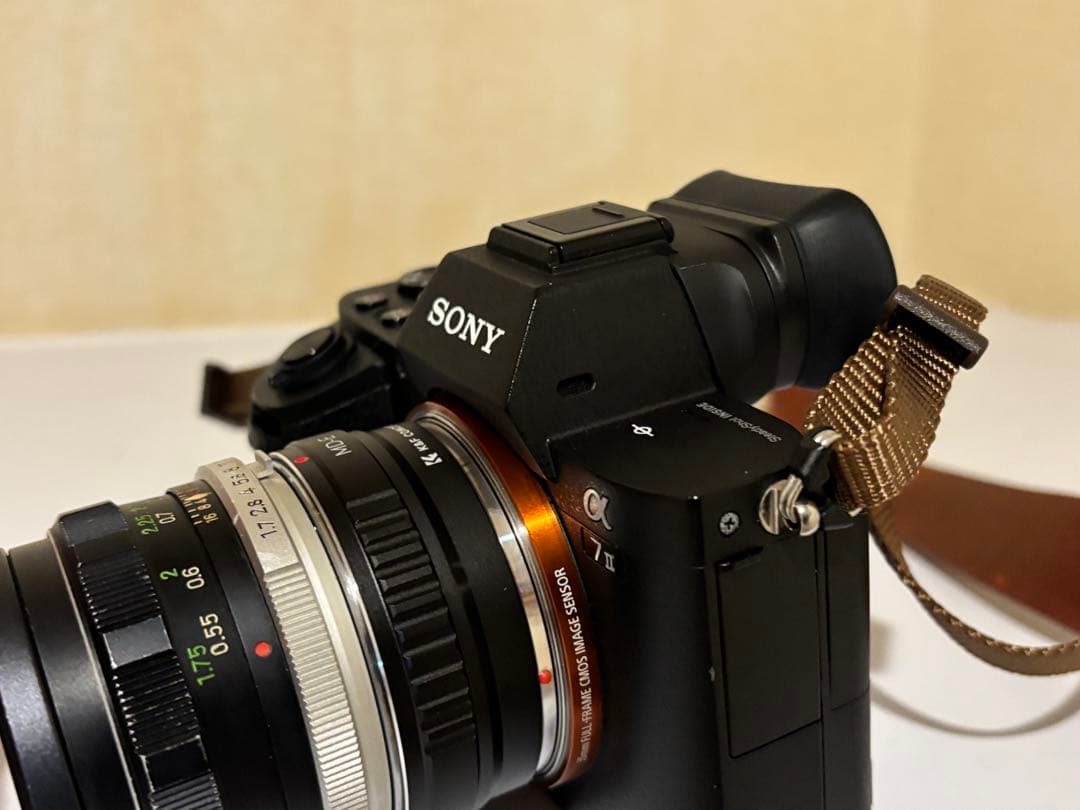 Sony α7II ミラーレスカメラ バッテリー4個付き