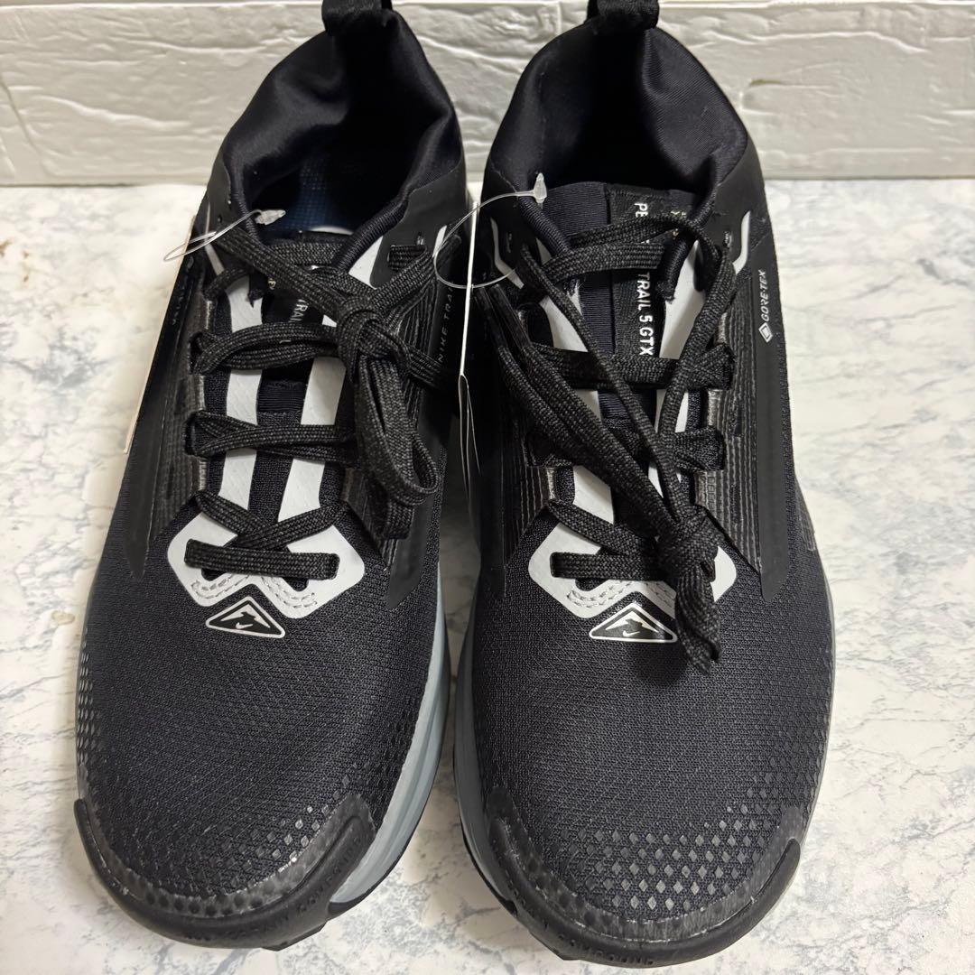 新品　新品　ナイキ　NIKE w pegasus trail 5 ゴアテックス