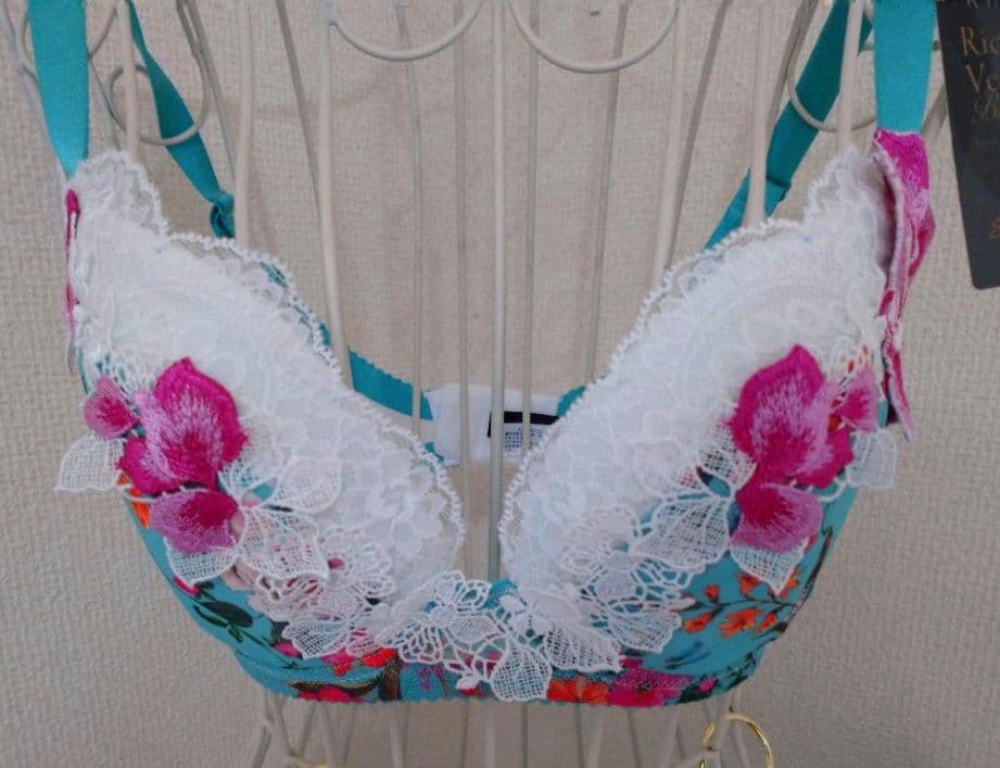 藤*▽様 単品可️⭕️サルート 23G 源氏物語 ブラジャーF65 Tバックソン