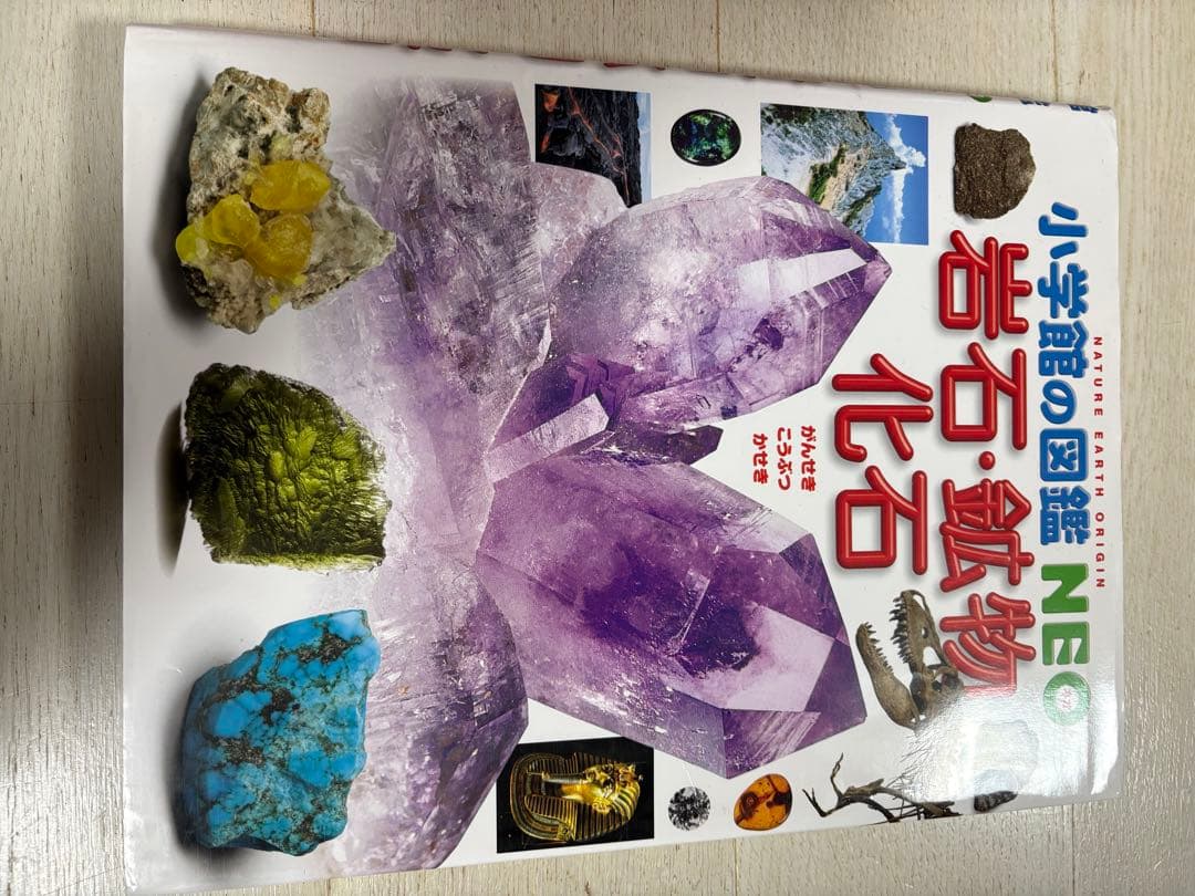 ★小学館の図鑑NEO★全12巻セット★