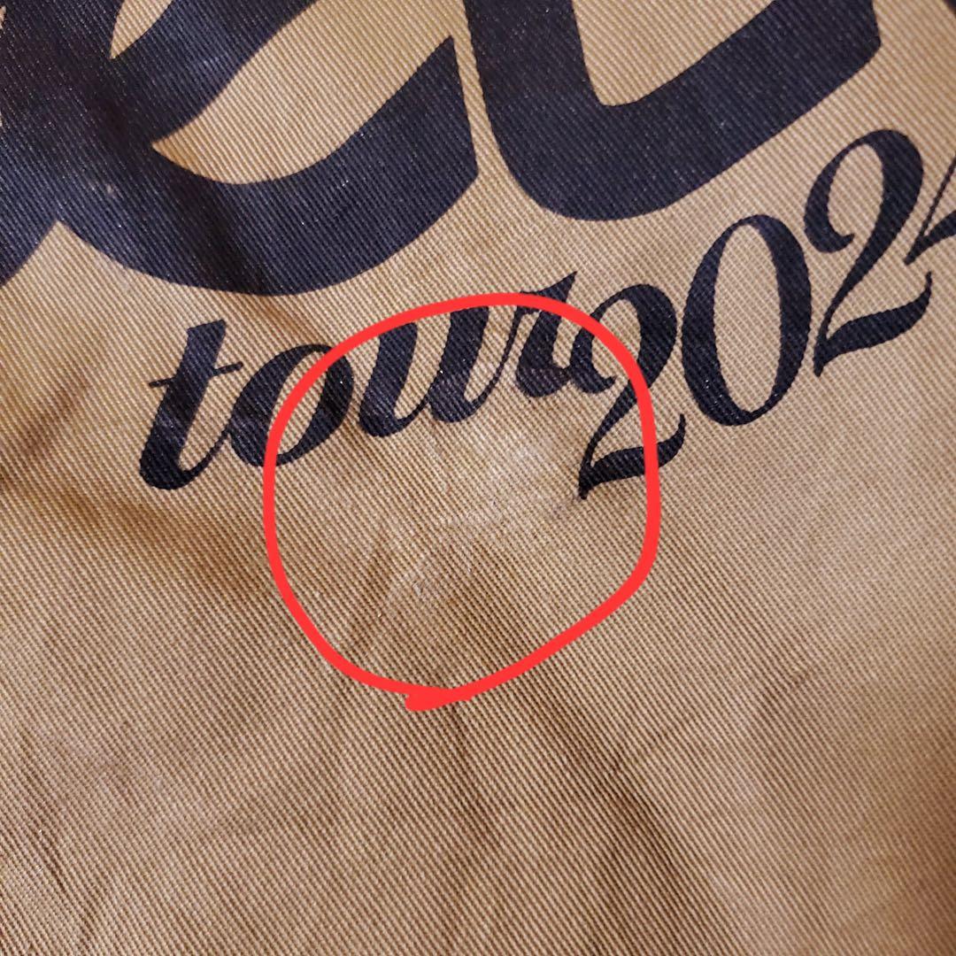 Sabrina carpenter ツアージャケット　国内未発売