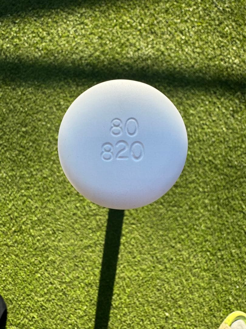 ニュートンバット　Newton Daitetsu Pro トレーニングバット