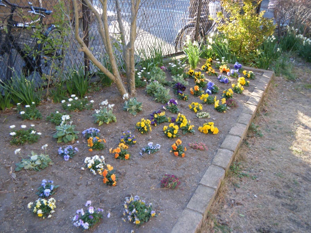 実写美⭕️【動作確認済み】FUJIFILM FinePix Z33WP